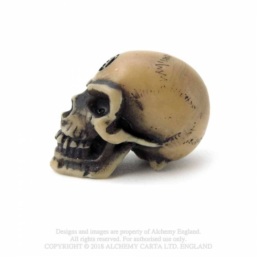 Lapillus Worry Skull