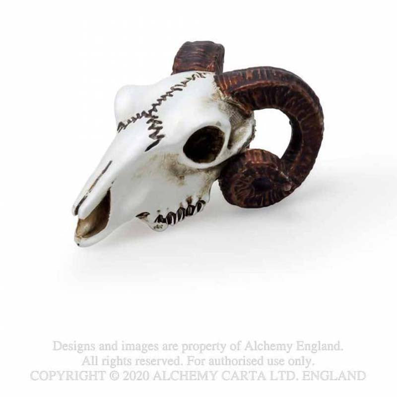 Miniature Rams Skull