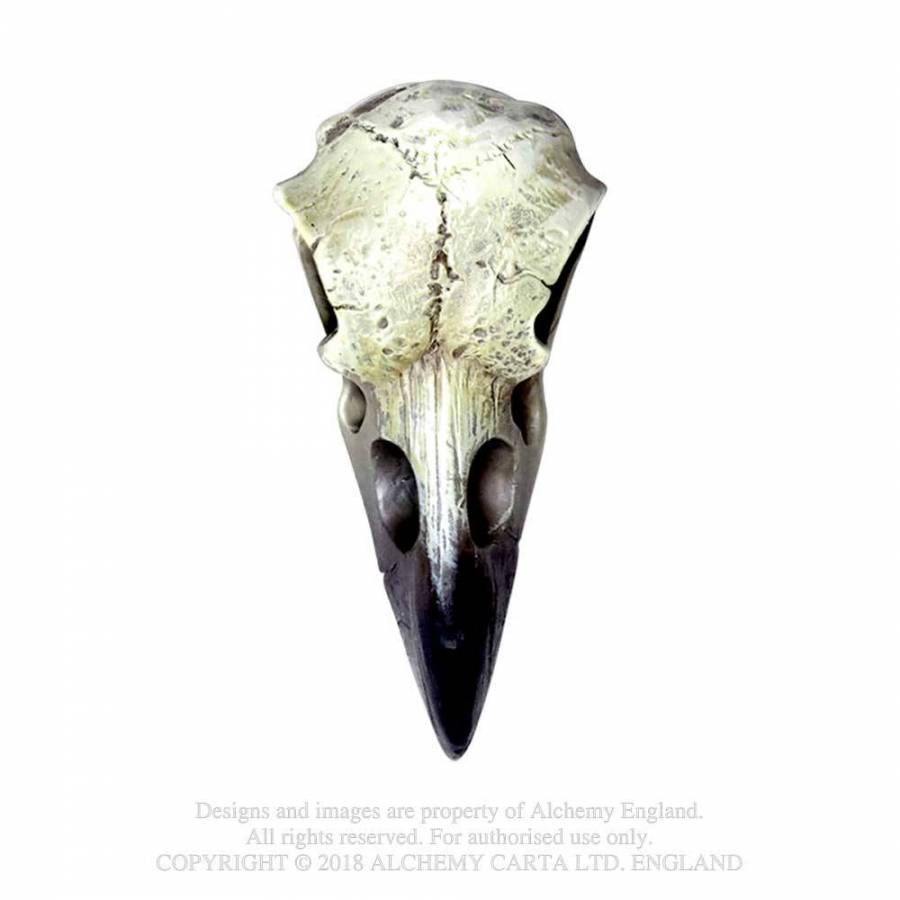 Reliquary Raven Skull