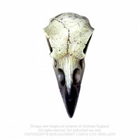 Thumbnail for Reliquary Raven Skull