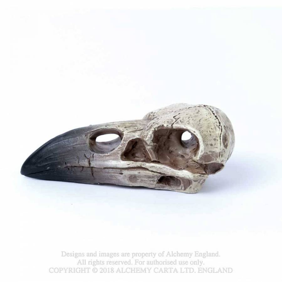 Reliquary Raven Skull