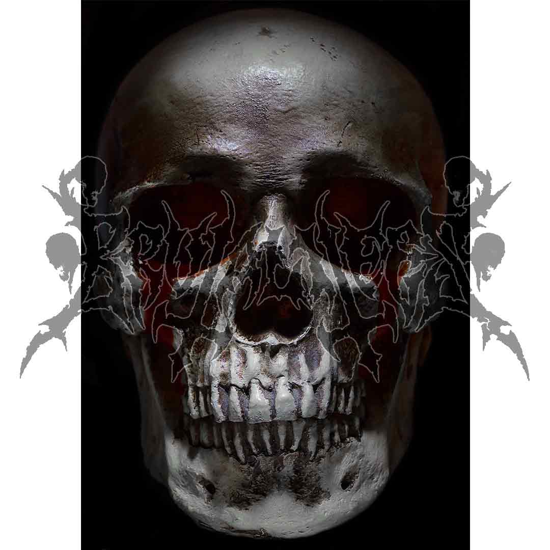 Bleeding Skull Poster Print